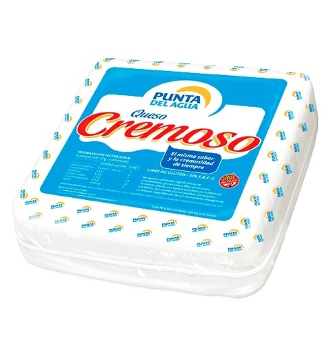 QUESO CREMOSO PUNTA DEL AGUA 1000 GR