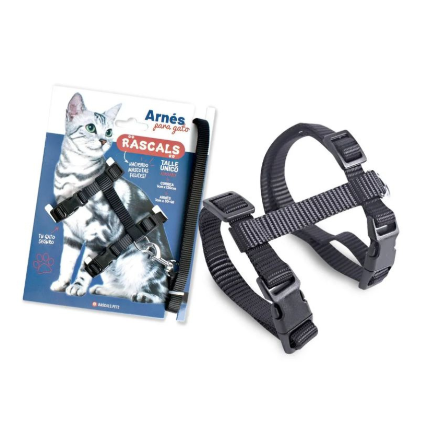 ARNES C/CORREA P/GATO RASCALS