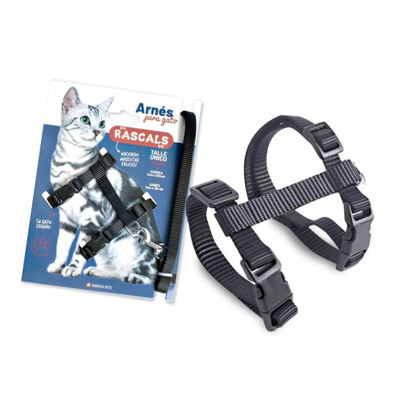 ARNES C/CORREA P/GATO RASCALS