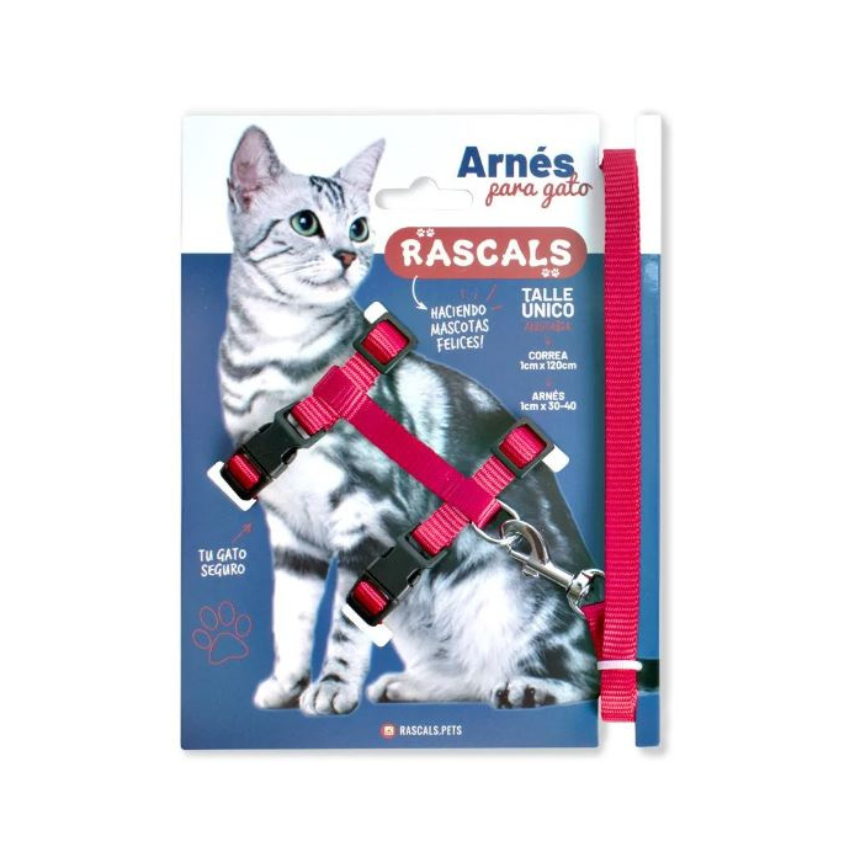 ARNES C/CORREA P/GATO RASCALS