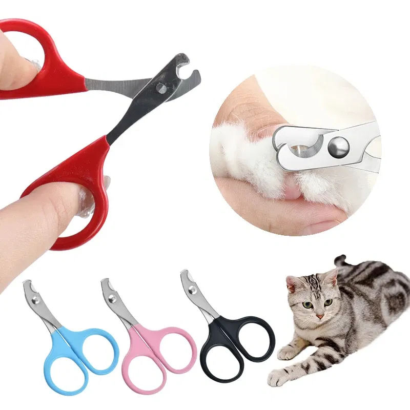 TIJERA DE GATO	