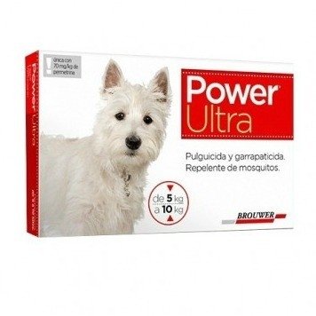 POWER 5 A 10 KG 1 U	