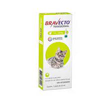 PIPETA BRAVECTO GATO CHICO