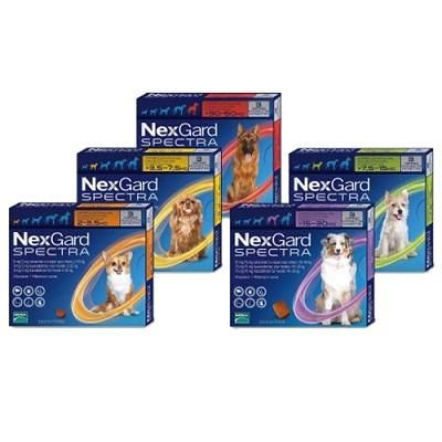 NEXGARD SPECTRA XL de 30,1 a 60 kg.