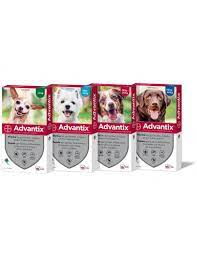 ADVANTIX PERRO 25 A 40 KG