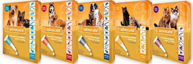 ADVOCATE GATO hasta 4  Kg.(0,4 ml).