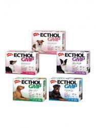 ECTHOL GMP PERROS HASTA 60kg.