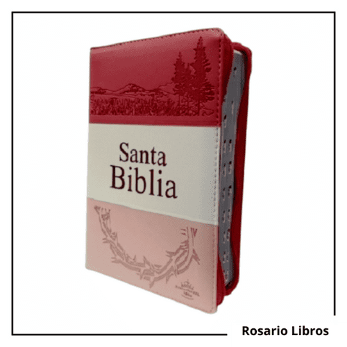 Santa Biblia Letra Grande Rosa Cierre E Indice Reina Valera 1960