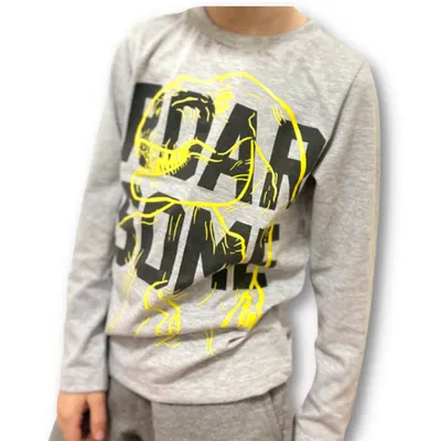 Remera Dino Roar Gris - Brilla