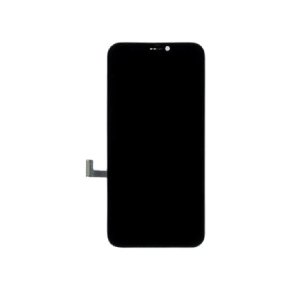 Modulo iPhone 13