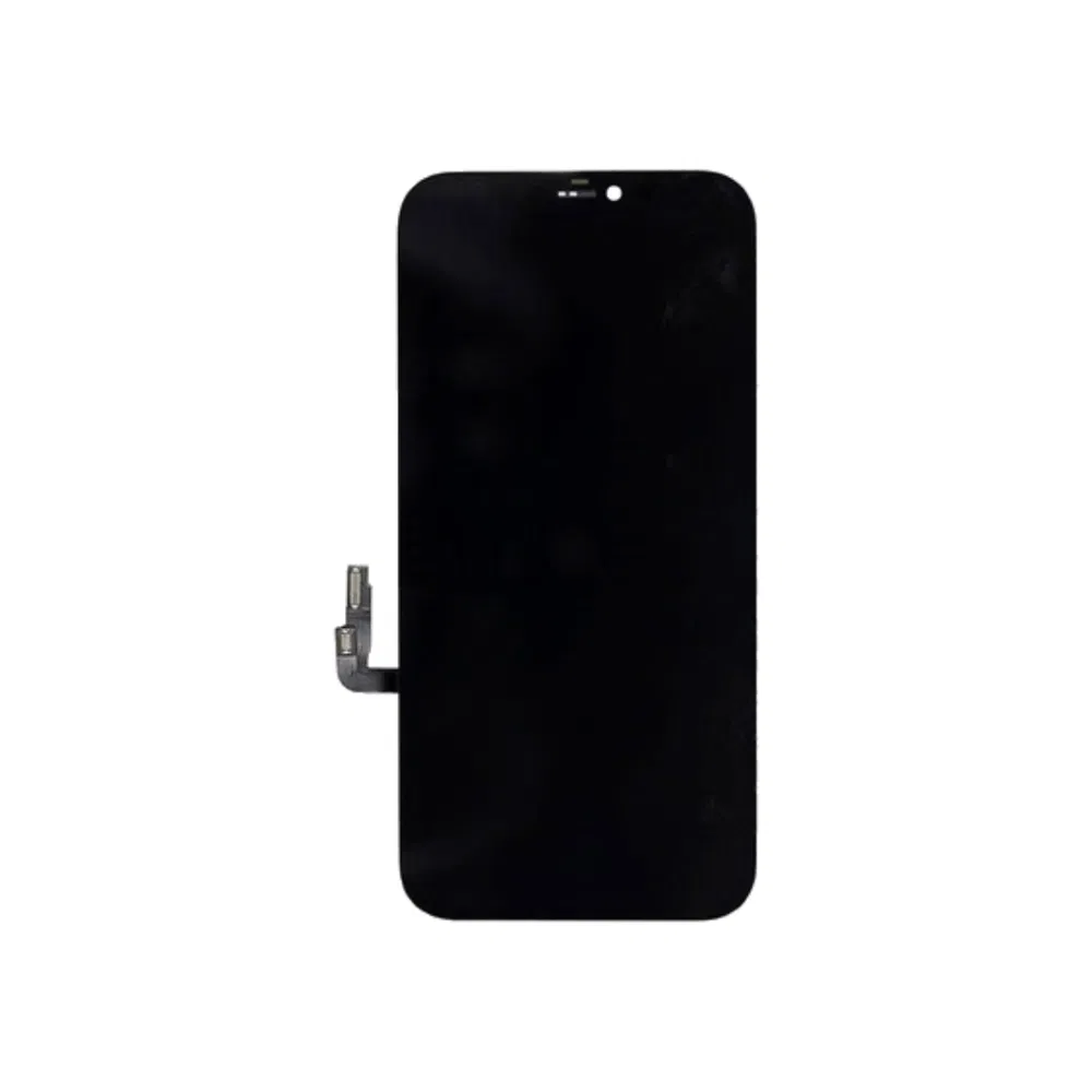 Modulo iPhone 12 Pro